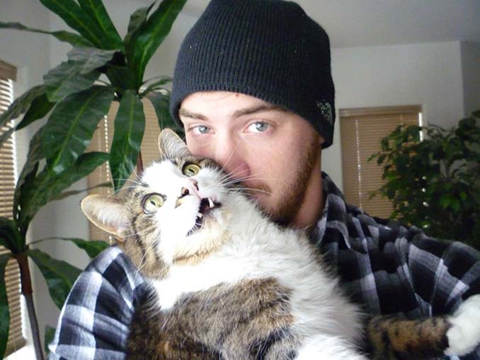 Αυτές οι γάτες σιχαίνονται τις selfies (1)