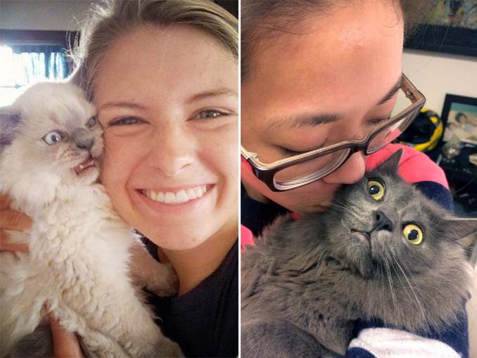 Αυτές οι γάτες σιχαίνονται τις selfies (2)