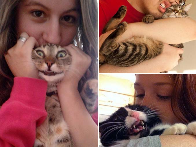 Αυτές οι γάτες σιχαίνονται τις selfies (10)