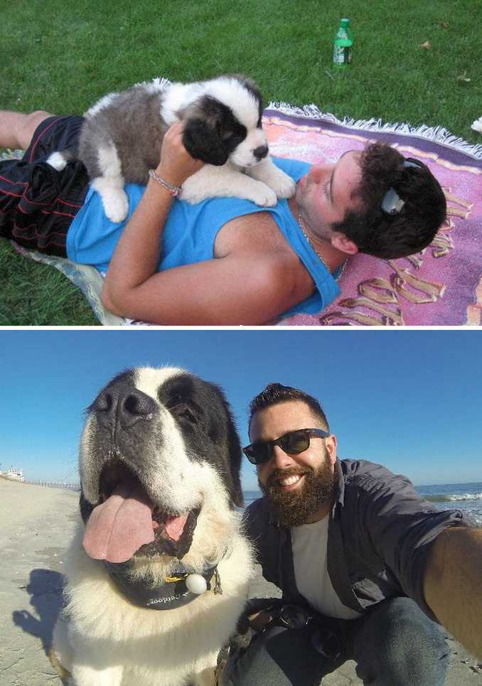 Αξιολάτρευτες φωτογραφίες σκύλων πριν και μετά την ανάπτυξή τους (31)