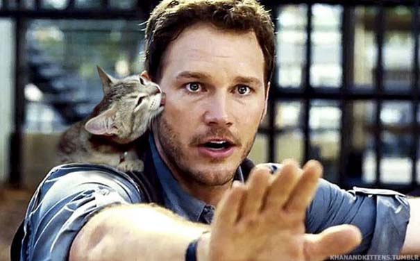 Αν στο Jurassic Park πρωταγωνιστούσαν γάτες (2)