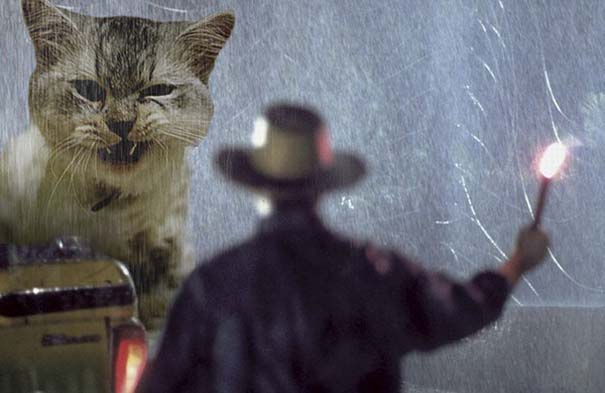 Αν στο Jurassic Park πρωταγωνιστούσαν γάτες (6)