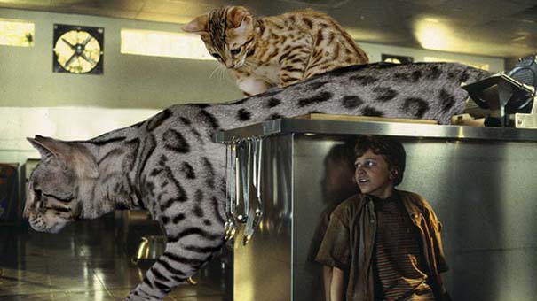 Αν στο Jurassic Park πρωταγωνιστούσαν γάτες (8)