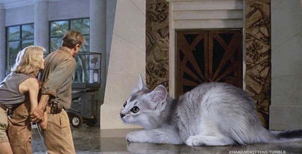 Αν στο Jurassic Park πρωταγωνιστούσαν γάτες (11)