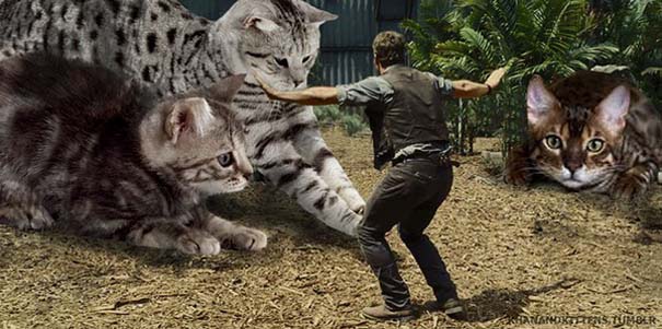 Αν στο Jurassic Park πρωταγωνιστούσαν γάτες (13)