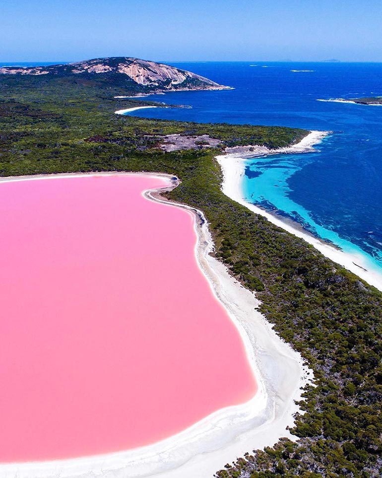 Η ροζ λίμνη της Αυστραλίας | Φωτογραφία της ημέρας