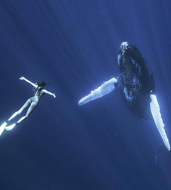 Το κορίτσι και η φάλαινα | Φωτογραφία της ημέρας