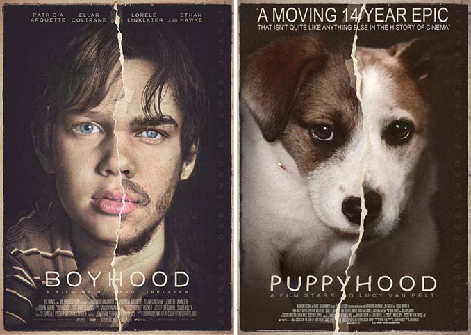 Σκύλος πρωταγωνιστεί σε αφίσες διάσημων ταινιών (7)