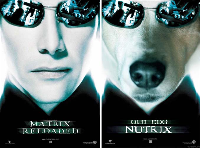 Σκύλος πρωταγωνιστεί σε αφίσες διάσημων ταινιών (14)