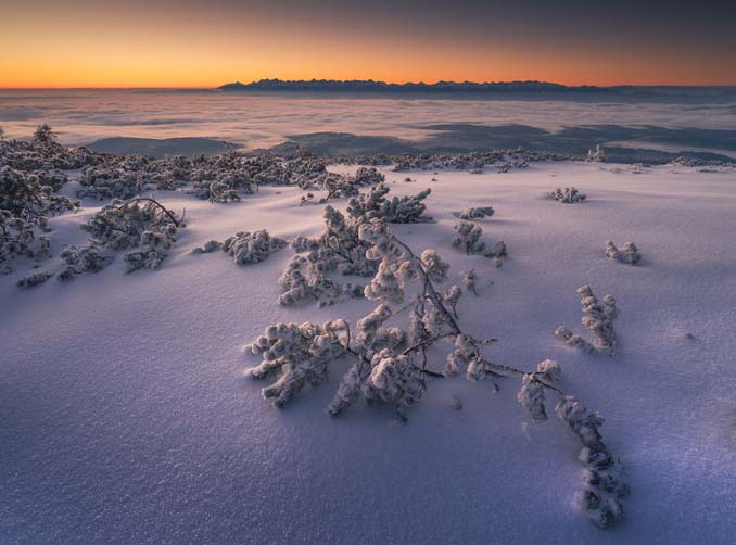 Φωτογράφος καταγράφει την εκπληκτική χειμερινή ομορφιά της Πολωνίας (8)