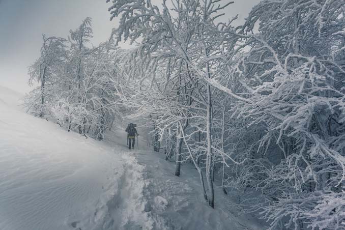 Φωτογράφος καταγράφει την εκπληκτική χειμερινή ομορφιά της Πολωνίας (7)