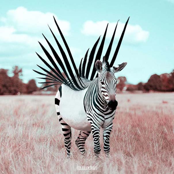 Γάλλος καλλιτέχνης δημιουργεί σουρεαλιστικές εικόνες ζώων με το Photoshop (24)