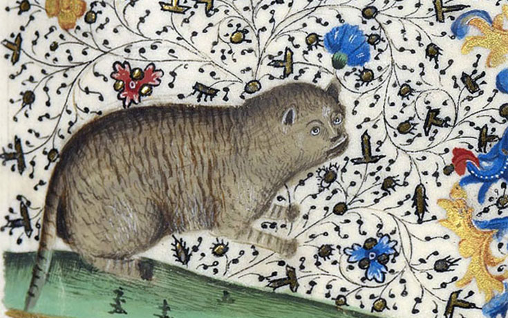 Οι ζωγράφοι του Μεσαίωνα είχαν μια δυσκολία στο να ζωγραφίζουν γάτες (1)