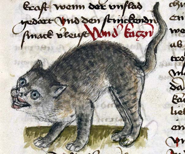 Οι ζωγράφοι του Μεσαίωνα είχαν μια δυσκολία στο να ζωγραφίζουν γάτες (8)