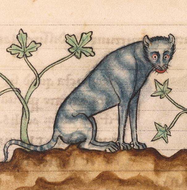 Οι ζωγράφοι του Μεσαίωνα είχαν μια δυσκολία στο να ζωγραφίζουν γάτες (15)