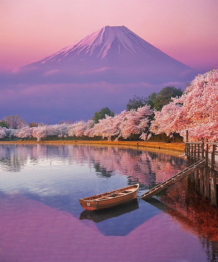 Η εποχή της Άνοιξης με φόντο το όρος Φούτζι | Φωτογραφία της ημέρας