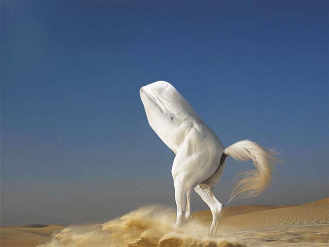 Καλλιτέχνης δημιουργεί τις πιο εξωπραγματικές διασταυρώσεις ζώων με το Photoshop (1)