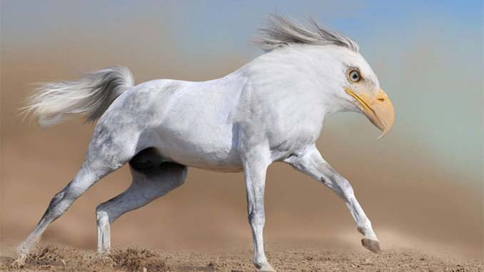 Καλλιτέχνης δημιουργεί τις πιο εξωπραγματικές διασταυρώσεις ζώων με το Photoshop (11)