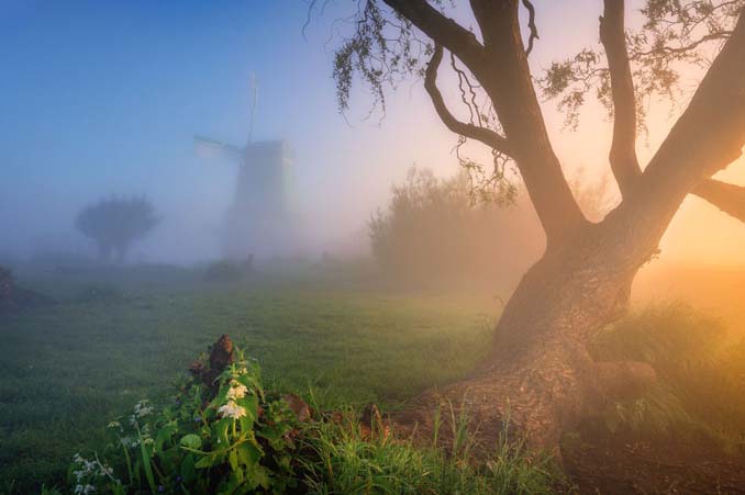 Φωτογραφίζοντας τους ανεμόμυλους της Ολλανδίας στην ομίχλη (7)