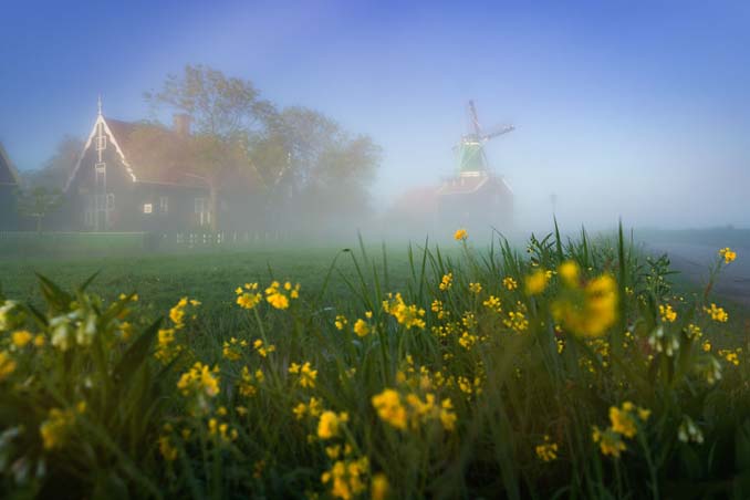 Φωτογραφίζοντας τους ανεμόμυλους της Ολλανδίας στην ομίχλη (11)