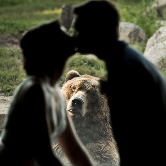 Ζευγάρι αποφάσισε να παντρευτεί σε ζωολογικό κήπο και η αντίδραση της αρκούδας τα λέει όλα (3)