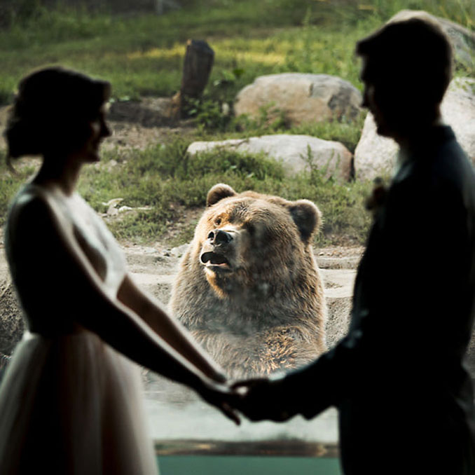 Ζευγάρι αποφάσισε να παντρευτεί σε ζωολογικό κήπο και η αντίδραση της αρκούδας τα λέει όλα (4)